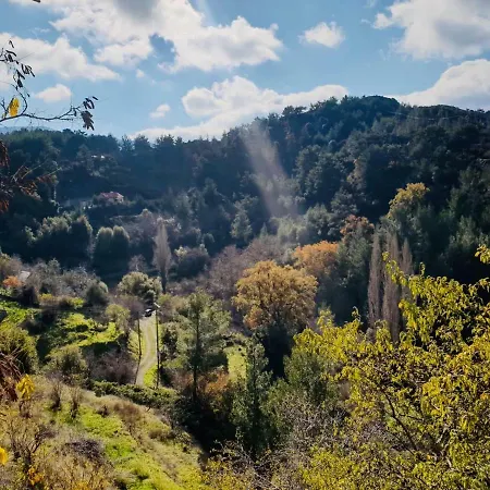 بيت للعطل Forest Park