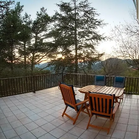 Forest Park * Lemithou