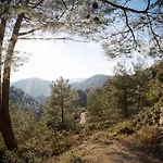 Forest Park Nyaraló Lemíthu