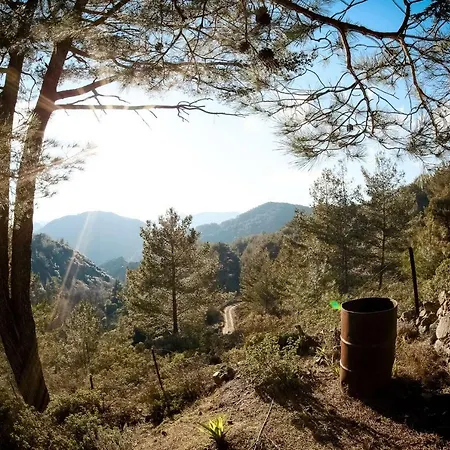 Forest Park Nyaraló