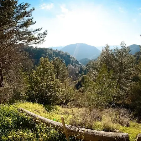 Forest Park بيت للعطل *