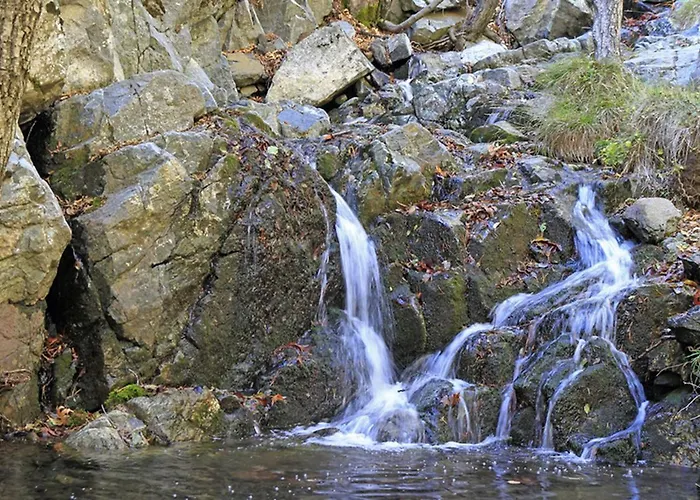 Forest Park * Lemithou