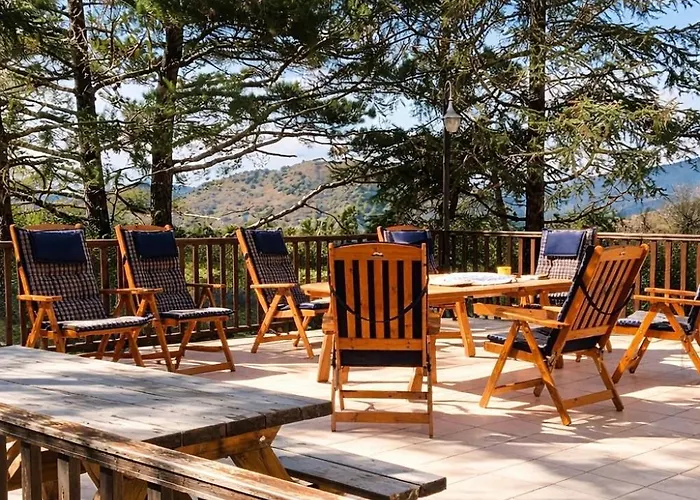 Prázdninový dům Forest Park