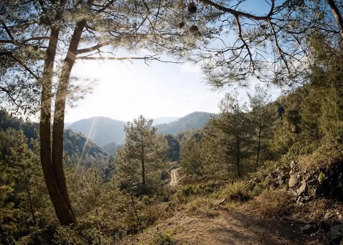 Forest Park Semesterbostad Lemithou