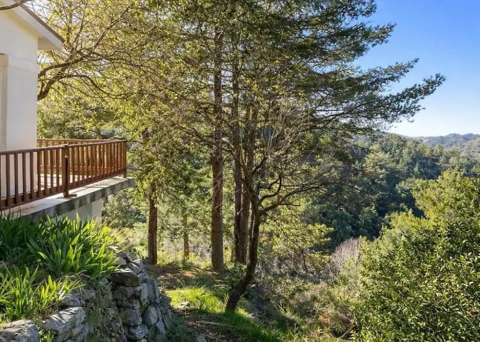 Forest Park * Lemithou