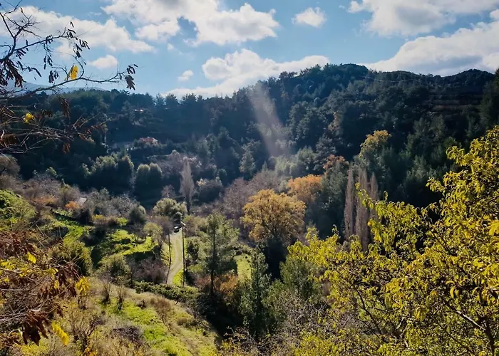 Σπίτι διακοπών Forest Park