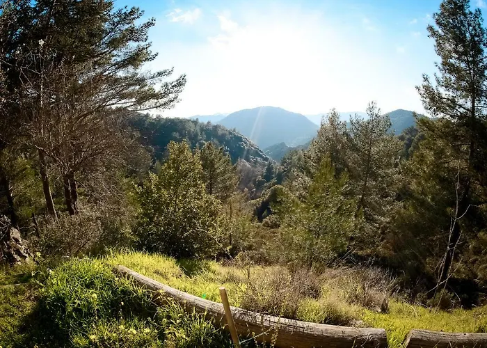 Forest Park Prázdninový dům *